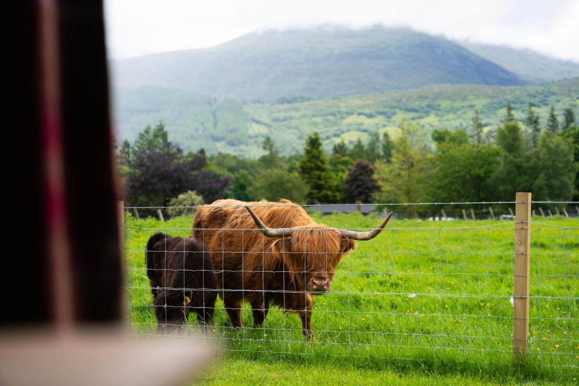 Aonach Mor Pod Villa Fort William Bagian luar foto